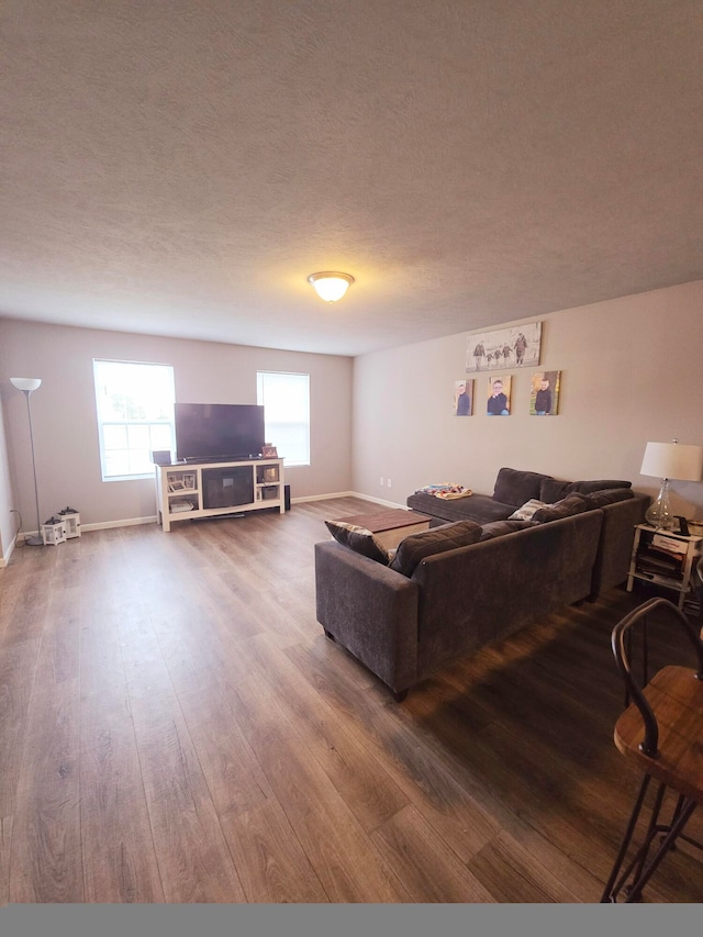 living room with hardwood / wood-style floors and a textured ceiling