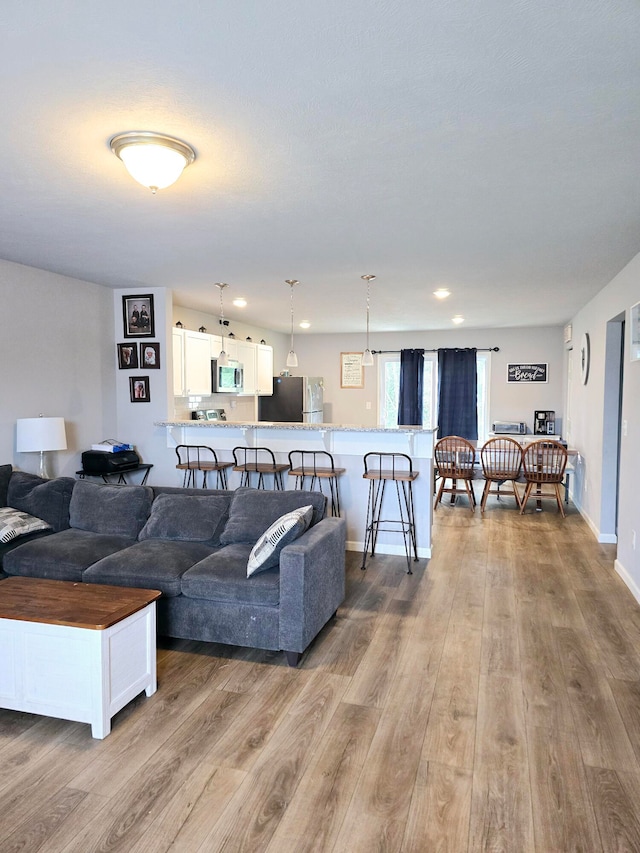 living room with light wood-type flooring