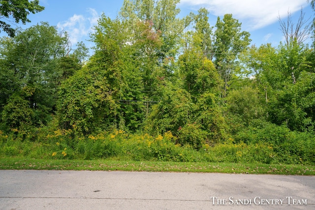 0 Cleveland St, Nunica MI, 49448 land for sale