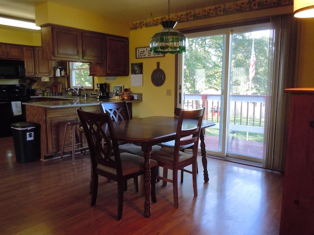 dining room featuring a wealth of natural light and dark hardwood / wood-style flooring