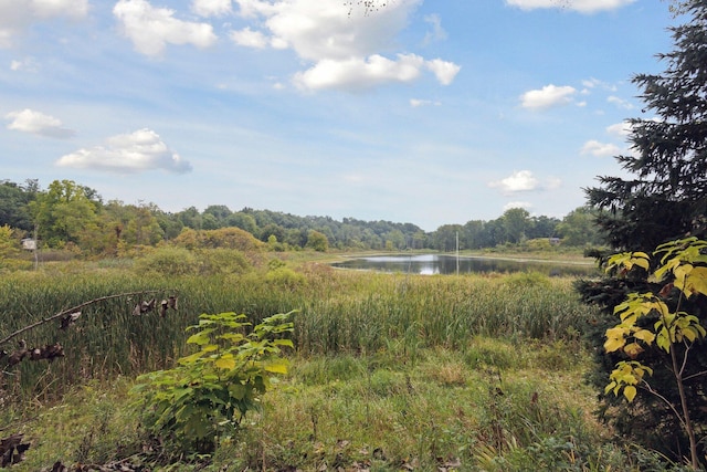 view of local wilderness with a water view