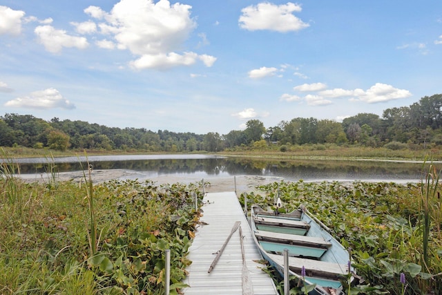 dock area with a water view