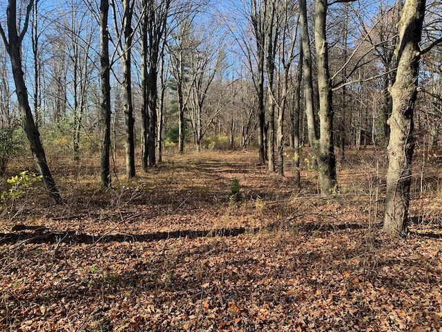 000 Prairie Rd Unit 1.5A, Harbert, MI 49115