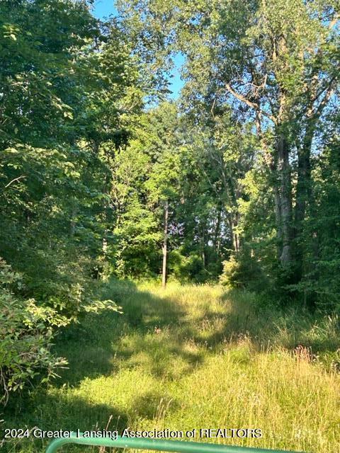 0 Ridley Rd, Leslie MI, 49251 land for sale