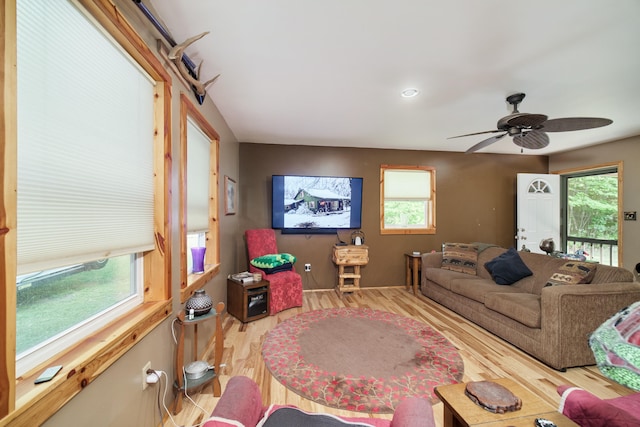 living room with ceiling fan and wood-type flooring