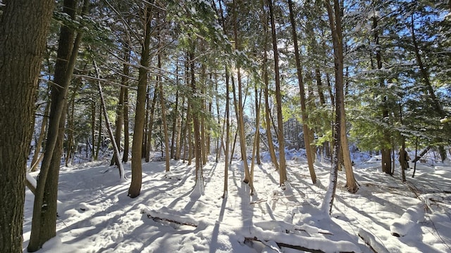 view of snowy landscape