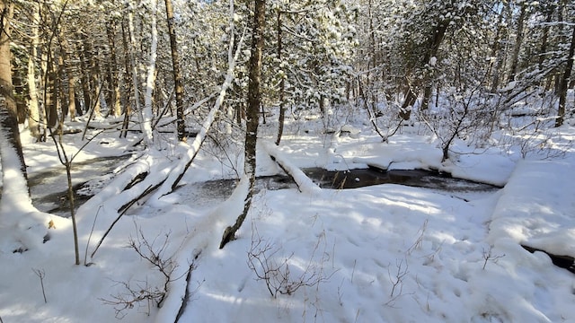 view of snowy landscape