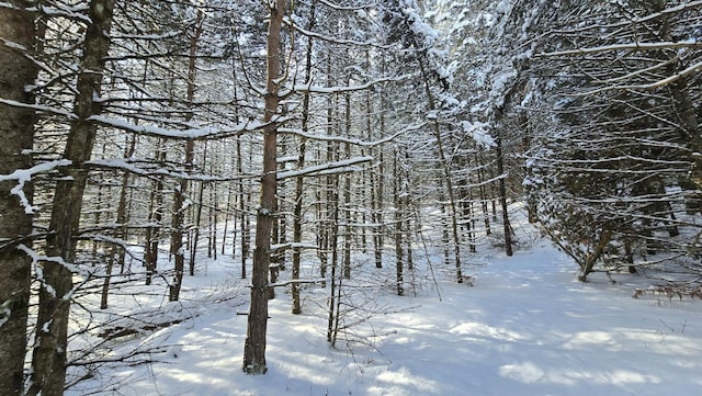 view of snowy landscape