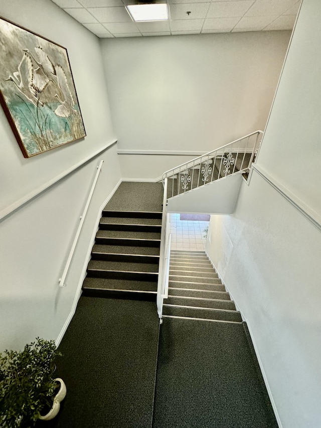 staircase featuring a drop ceiling and carpet floors