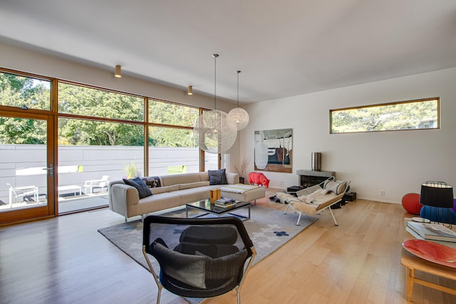 living room with hardwood / wood-style floors