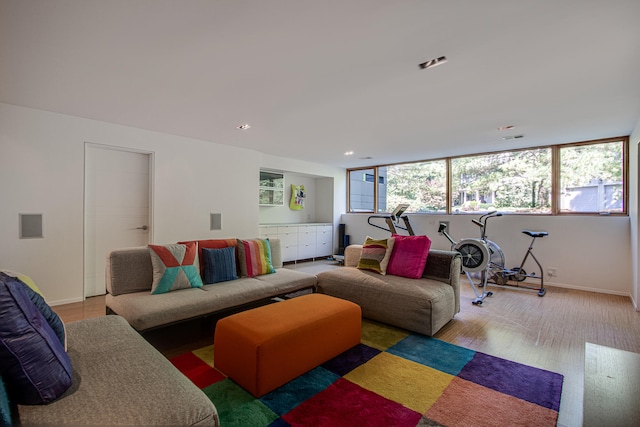 living room with light hardwood / wood-style floors