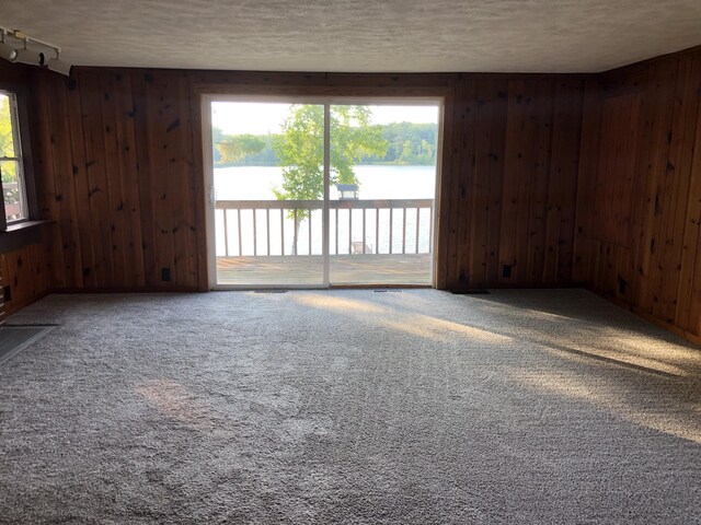 carpeted spare room featuring a textured ceiling, plenty of natural light, and wooden walls