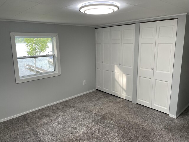 unfurnished bedroom with a closet and carpet floors