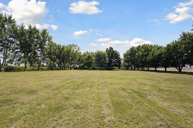 view of yard with a rural view