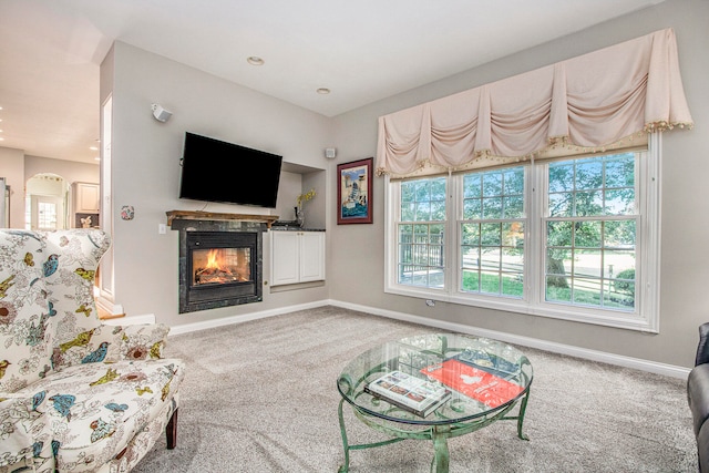 living room with carpet