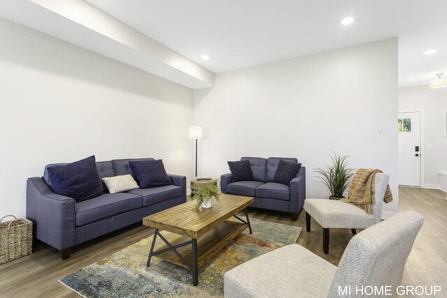 living room with hardwood / wood-style flooring