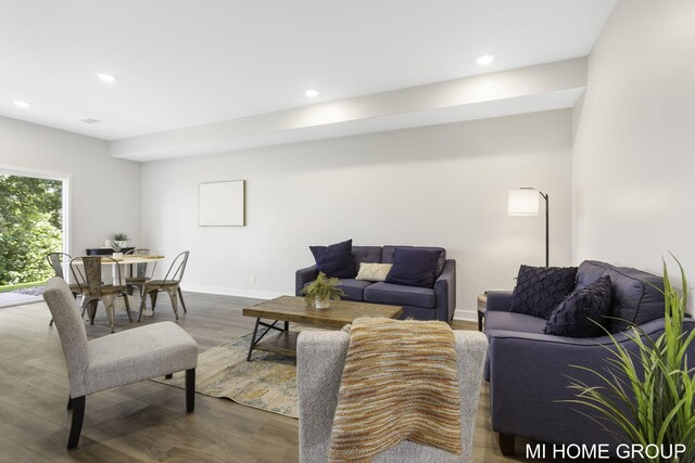 living room featuring wood-type flooring