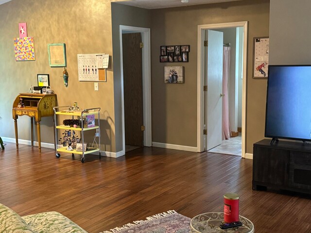 living room featuring dark wood-type flooring