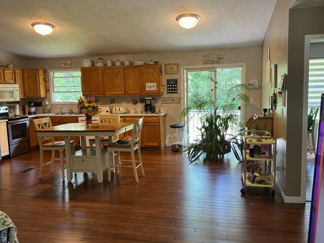 interior space featuring dark wood-type flooring, stainless steel electric stove, and sink