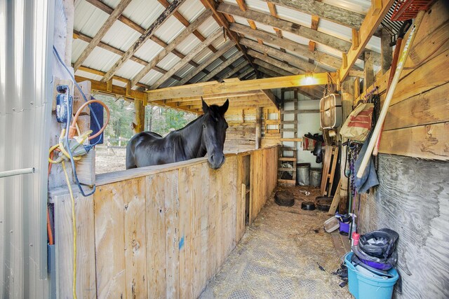 6991 E Apple Ave, Muskegon, MI 49442 - view of stable