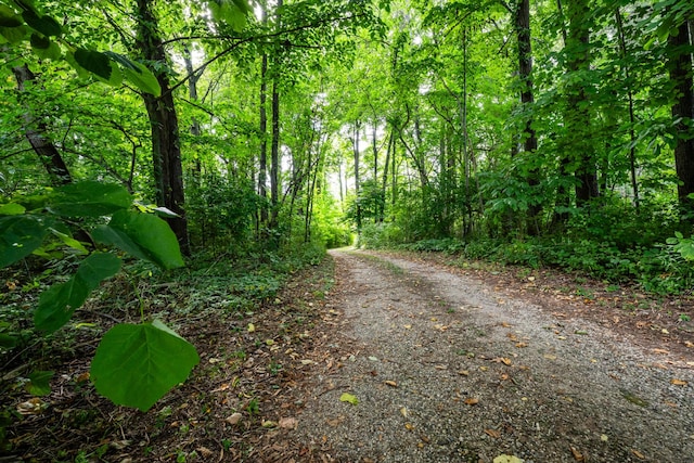 view of street featuring a view of trees