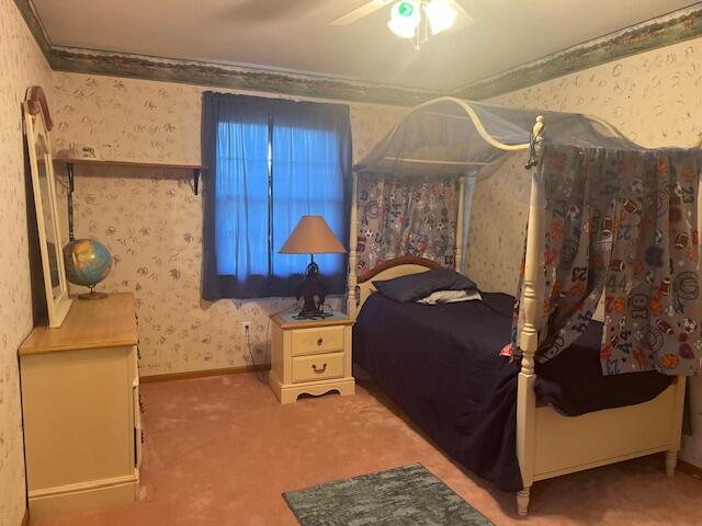 bedroom featuring ornamental molding, ceiling fan, and carpet floors