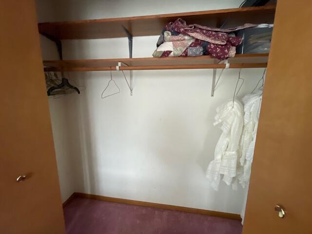 view of closet