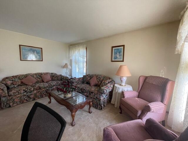 view of carpeted living room