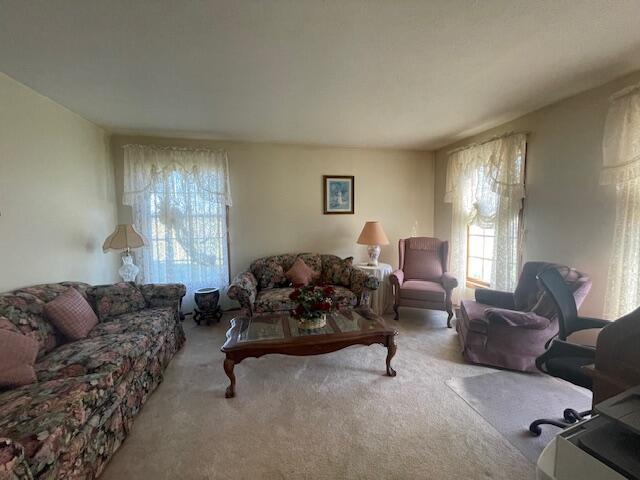 living room with carpet flooring