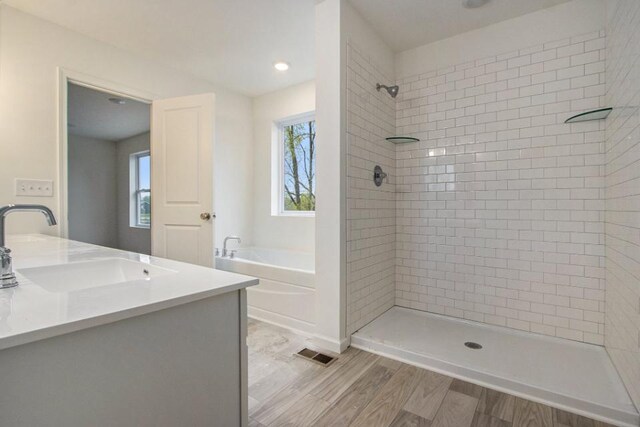 bathroom featuring a healthy amount of sunlight, independent shower and bath, and vanity