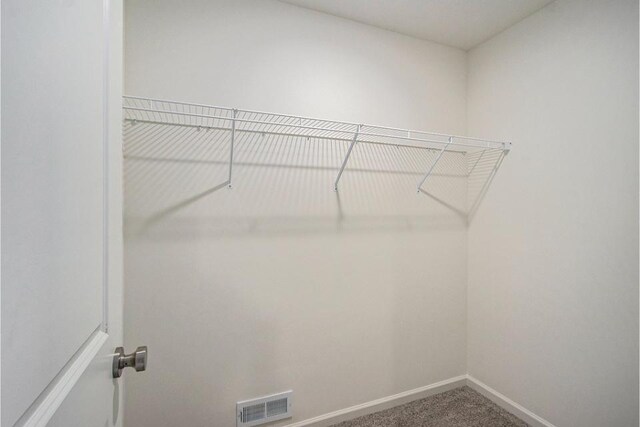 spacious closet featuring carpet floors