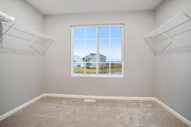 walk in closet with carpet floors