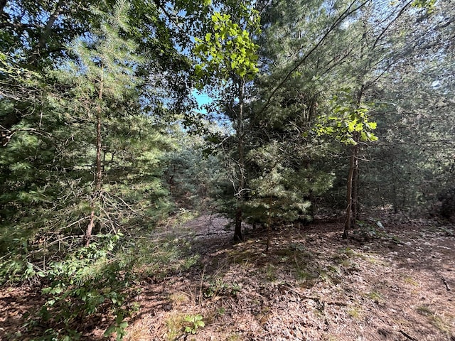 Listing photo 3 for V/L5.5A Holton-Duck Lake Rd, Holton MI 49425