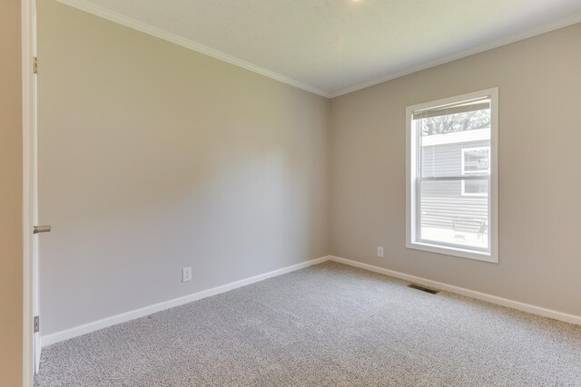 unfurnished room featuring carpet flooring and ornamental molding