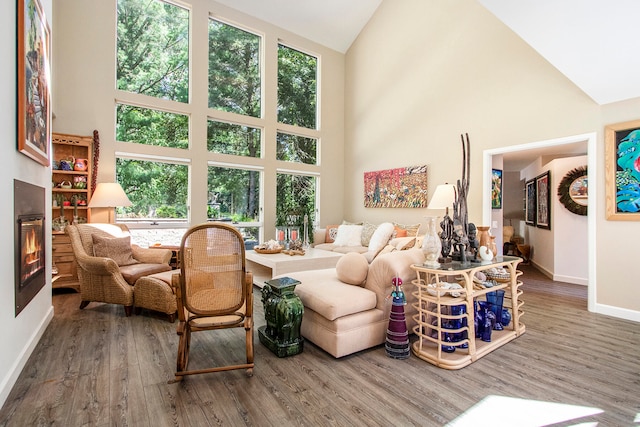 living room with wood-type flooring and high vaulted ceiling