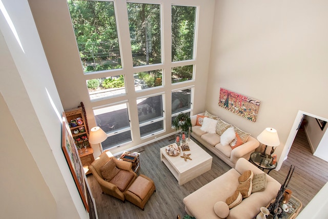 living room with a towering ceiling and hardwood / wood-style flooring