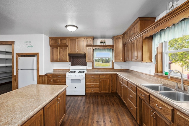 kitchen with a wealth of natural light, dark hardwood / wood-style floors, sink, and white appliances