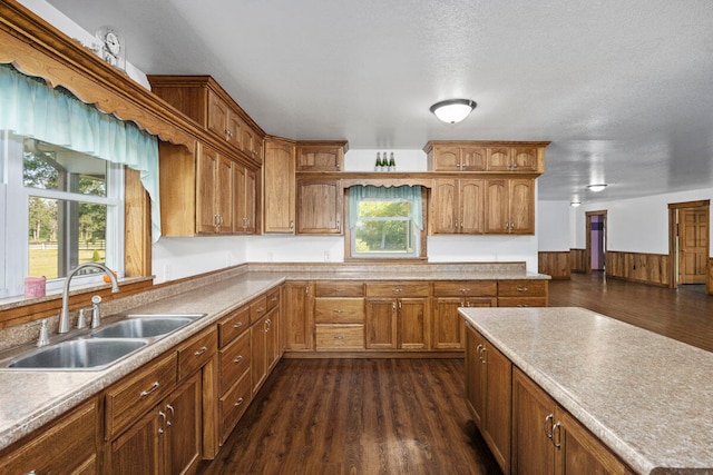 kitchen with a wealth of natural light, sink, dark hardwood / wood-style flooring, and a textured ceiling