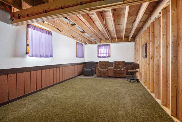 basement with wood walls and carpet floors