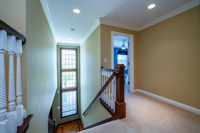 staircase featuring ceiling fan, carpet floors, and ornamental molding