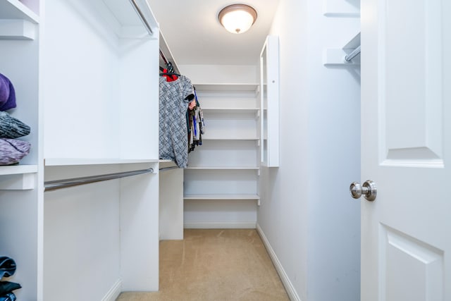 spacious closet with light colored carpet