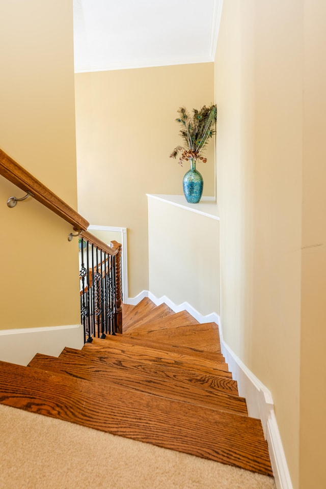 staircase featuring carpet flooring and ornamental molding