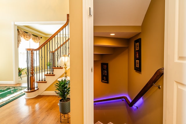 staircase featuring hardwood / wood-style floors