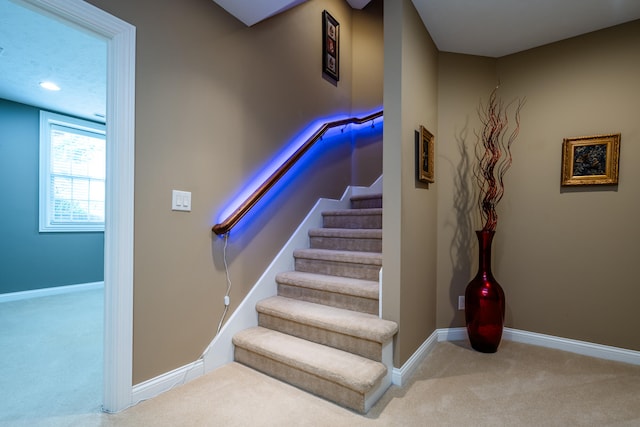 staircase featuring carpet