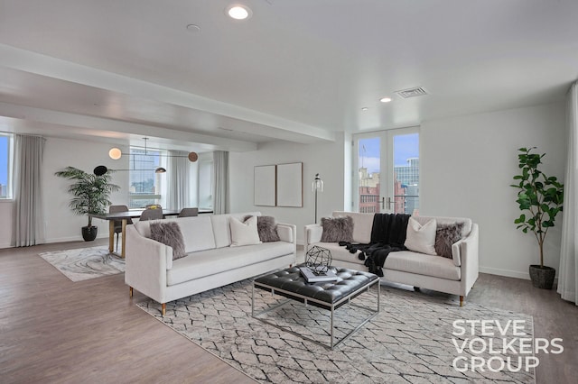 living room with light hardwood / wood-style flooring and a healthy amount of sunlight