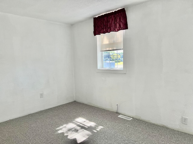 spare room with carpet floors