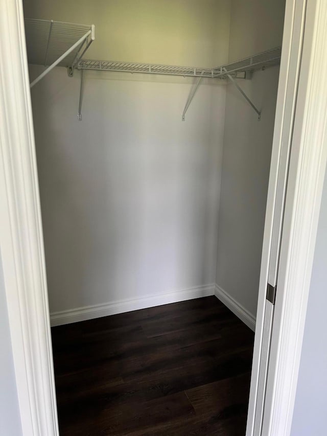 walk in closet with dark wood-style flooring
