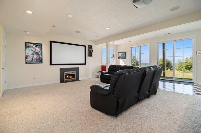 cinema with a textured ceiling and light colored carpet