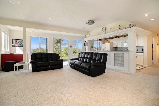 living room with a healthy amount of sunlight