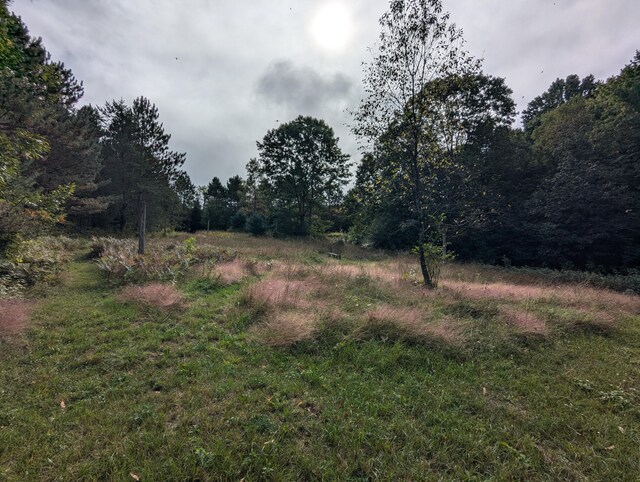 view of landscape